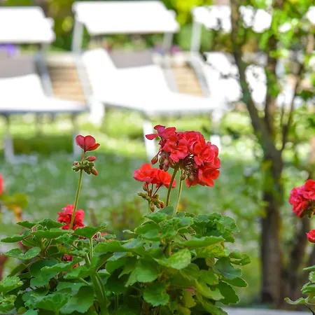 Sant'andrea Hotel Ravenna