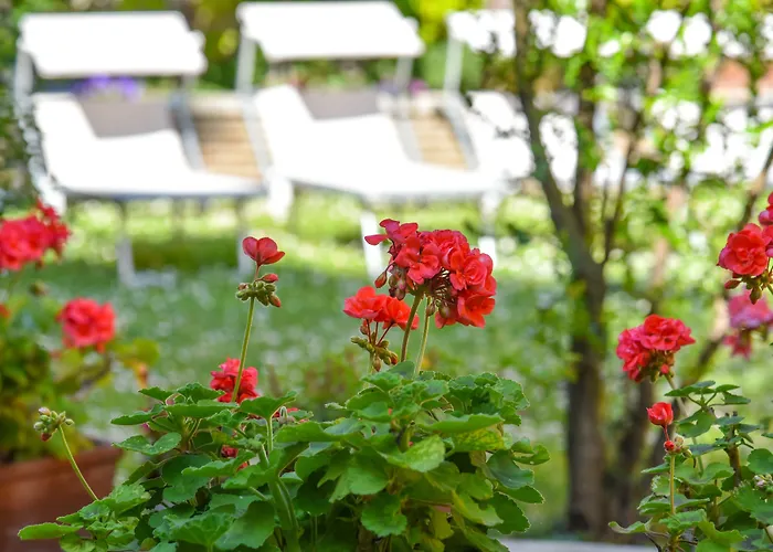 Sant'andrea فندق رافيننا