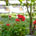 Sant'andrea Hotel Ravenna