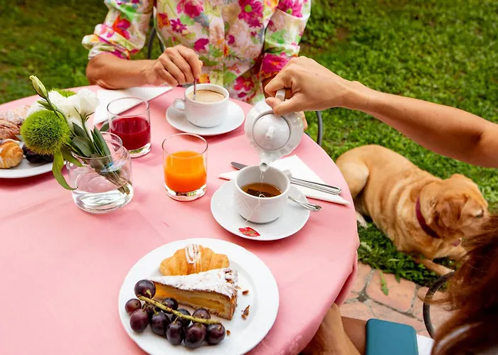 圣安德烈亚酒店 酒店 3*